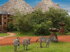 Top Ten Best Luxurious Hotels in Arusha to Visit this Holiday arusha best hotels