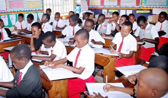 Best Private Primary Schools In Kampala Uganda