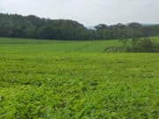 A list of Places to Buy the Most Affordable land in Uganda A list of Places to Buy the Most Affordable land in Uganda