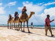 A list of Top 10 Countries with Favorable Climate in Africa A list of Top 10 Countries with Favorable Climate in Africa