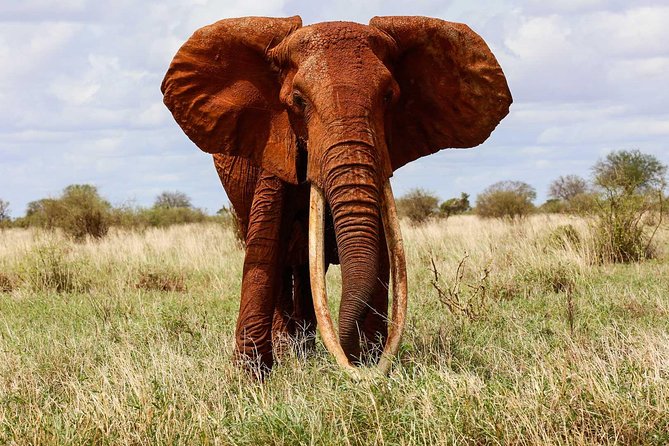 Tsavo East National Park