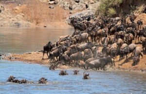 Top 10 Tourist Attractions in Kenya in 2021, Tourism Activities Top 10 Tourist Attraction Sites in Kenya 2021