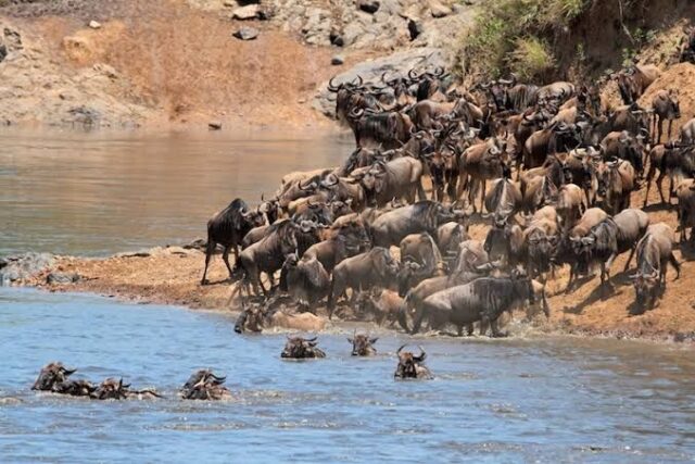 Top 10 Tourist Attraction Sites in Kenya 2021