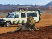 Best Travel Agencies in Kenya, Travel Deals and Packages Best Travel Agencies in Kenya, Travel Deals and Packages