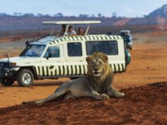 Best Travel Agencies in Kenya, Travel Deals and Packages Best Travel Agencies in Kenya, Travel Deals and Packages