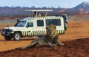 Best Travel Agencies in Kenya, Travel Deals and Packages Best Travel Agencies in Kenya, Travel Deals and Packages