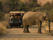 Best Travel Agencies in Nairobi, Travel Deals and Packages Best Travel Agencies in Nairobi, Travel deals and Packages