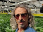 About Kyle Kushman: Facts, Strains, Biography, Career Life, Net Worth About Kyle Kushman: Facts, Strains, Biography, Career Life, Net Worth