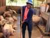 Christine Miyogo: Finding Success in Pig Farming After Quitting Senior IT Executive Job Christine Miyogo