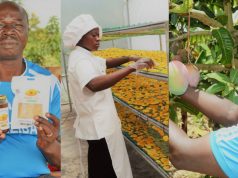 Simon Musyoka: Farmer Making a Fortune from Mango Value Addition after Closing Down Paints Shop, Private School Business Simon Musyoka