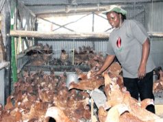 Beatrice Kirui: Nakuru Farmer’s Ksh 30,000 Investment Now Raking in Ksh 650,000 Per Month