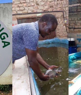 Anthony Ndeto: The Story Behind Africa’s First Eco Mark Fish Farm Located in Machakos Kamuthanga Fish Farm