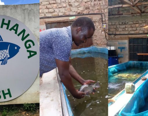 Anthony Ndeto: The Story Behind Africa’s First Eco Mark Fish Farm Located in Machakos Kamuthanga Fish Farm