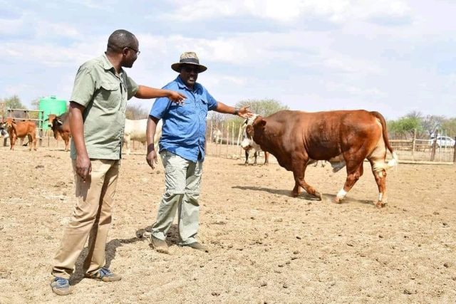 Willy Kathurima: Kenyan Who Owns 22,000 Acres of Land in Botswana With Over 1,000 Cattle